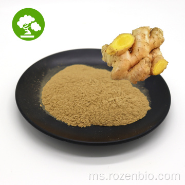 Gingerols Asli Ginger Root Extract Powder